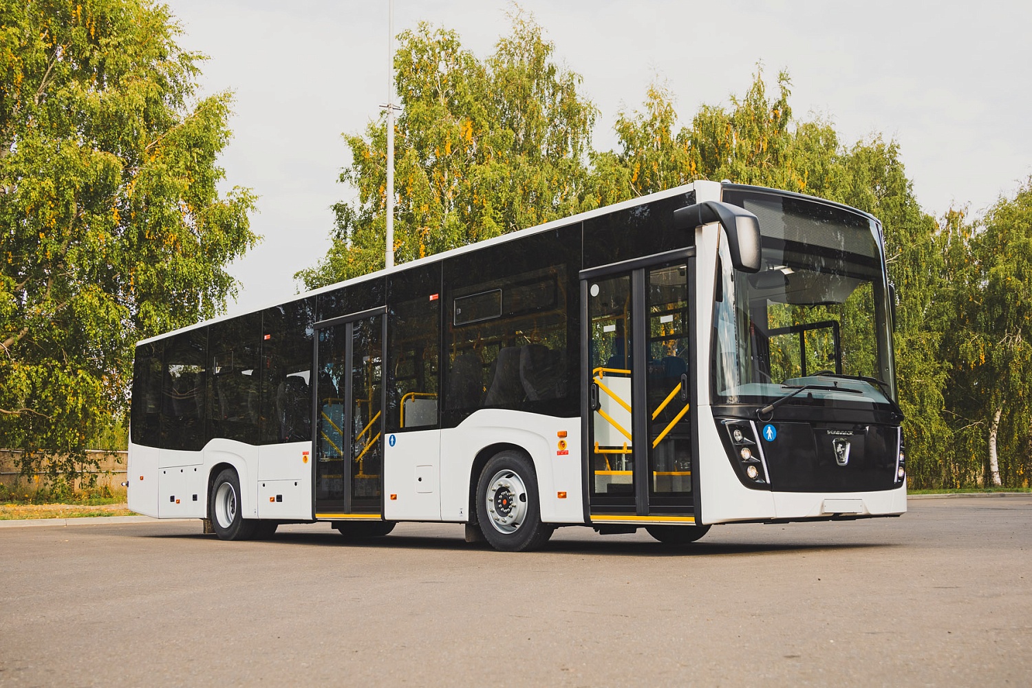 Автобус НЕФАЗ-5299-0000031-52